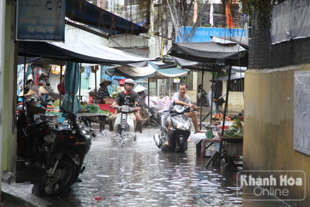 Chỉ một trận mưa, một số con hẻm ở cồn Nhất Trí đã ngập