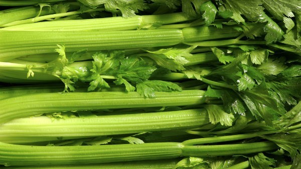 Sống khỏe nhờ cần tây