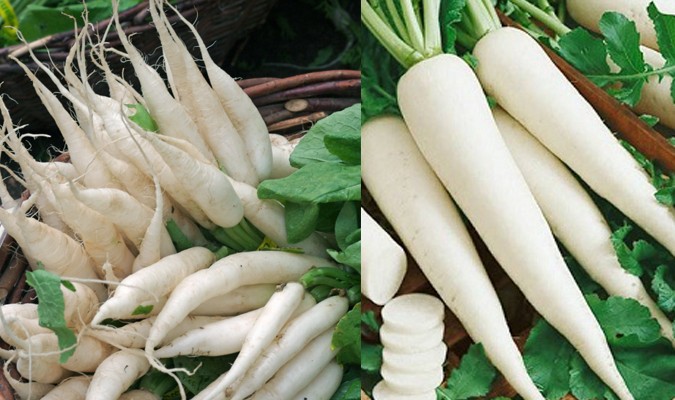 Lợi ích tuyệt vời của củ cải đối với sức khỏe