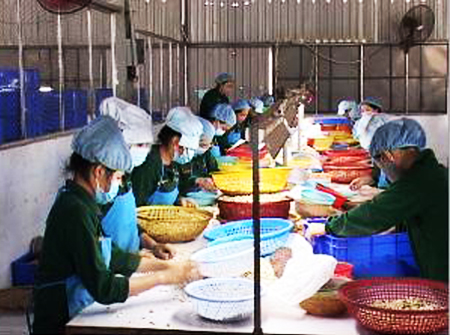 Nhờ có sự quan tâm chăm lo của Công ty người lao động rất yên tâm làm việc