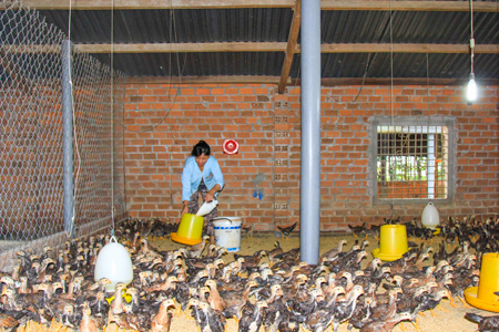 Nhiều giải pháp nâng cao thu nhập cho người dân