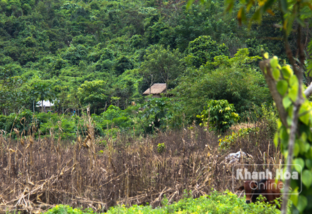 Những căn nhà đã được dựng lên tại làng Tà Lương cũ
