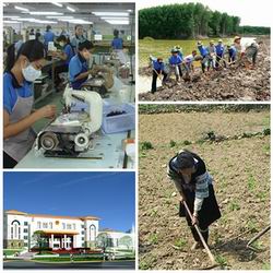 Chỉ đạo, điều hành của Chính phủ, Thủ tướng Chính phủ nổi bật tuần 16-20/11/2015