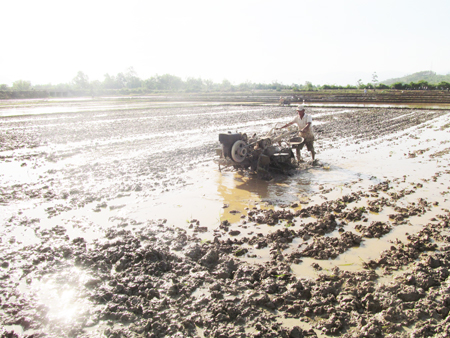 Vẫn lo thiếu nước