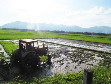 Làm đất chuẩn bị xuống giống tại xã Diên Bình (huyện Diên Khánh)