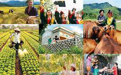 Ban hành chuẩn nghèo tiếp cận đa chiều