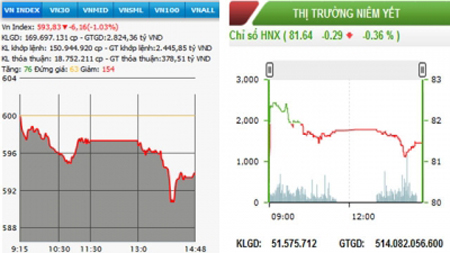 Sắc đỏ hai sàn, VN-Index mất thêm 6 điểm