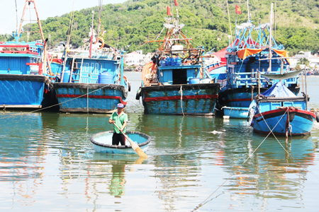 Tàu cá của ông Hòa (thứ 3 từ trái sang) thả neo gần cảng cá Hòn Rớ để sửa chữa