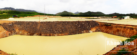 Một vùng trồng tỏi rộng lớn ở Vạn Hưng