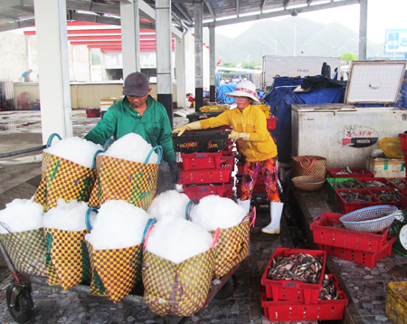 Nơi bốc xếp, tập kết thủy sản tại cảng