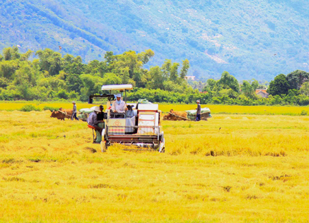 Sản xuất nông nghiệp ở Vạn Phước