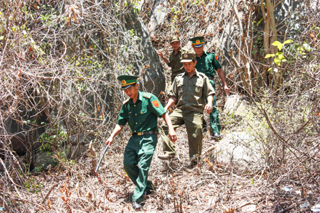 Lực lượng Biên phòng và Công an phối hợp tuần tra bảo vệ rừng Hòn Hèo (Ninh Vân, Ninh Hòa)
