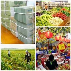 Nghị quyết phiên họp Chính phủ thường kỳ tháng 11