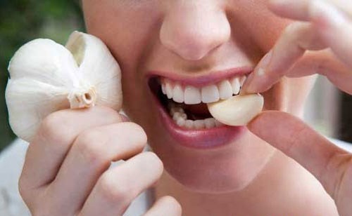 Thuốc từ tỏi sống