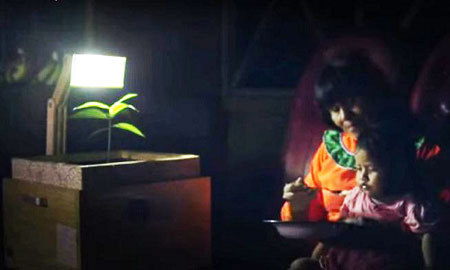 Đèn lấy điện từ cây thắp sáng