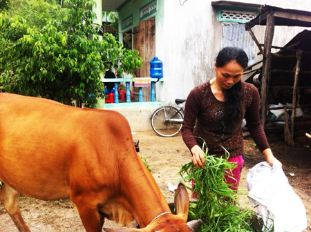 Hội Phụ nữ xã Xuân Sơn: Giúp hội viên thoát nghèo