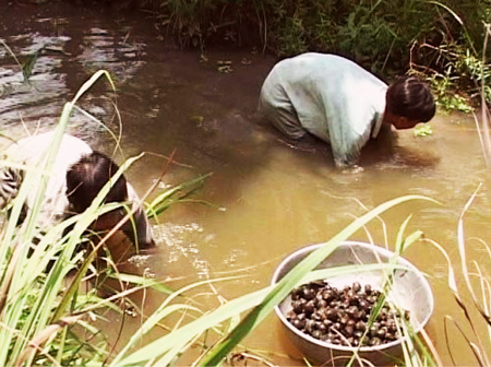 Quà của ruộng đồng