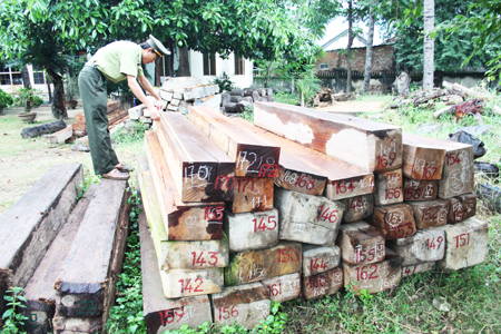 Một số lâm sản bị lực lượng Kiểm lâm thị xã Ninh Hòa bắt giữ