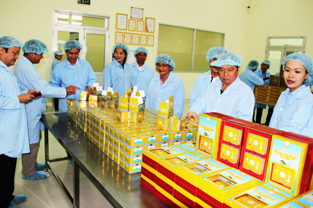Đoàn cán bộ cấp cao Trung ương thăm Nhà máy Chế biến nguyên liệu Yến sào