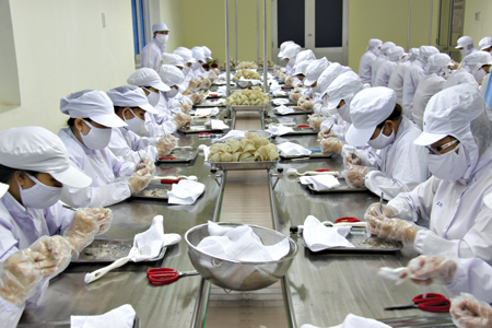 Hoạt động sản xuất tại Nhà máy Chế biến nguyên liệu Yến sào