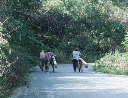 Đóng chốt để giữ rừng Sơn Tân