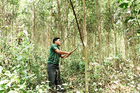 Một gia đình Raglai tiêu biểu