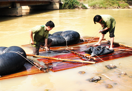 Một vụ vận chuyển gỗ trái phép bị lực lượng kiểm lâm phát hiện, xử lý