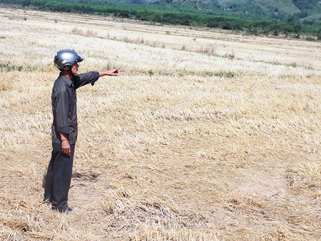 Cần trạm bơm cho cánh đồng Trảng Găng