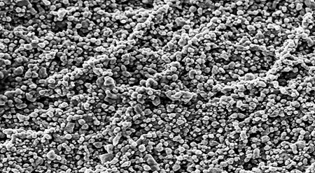 Hình ảnh phóng đại 150.000 lần của các cấu trúc nano sợi cotton