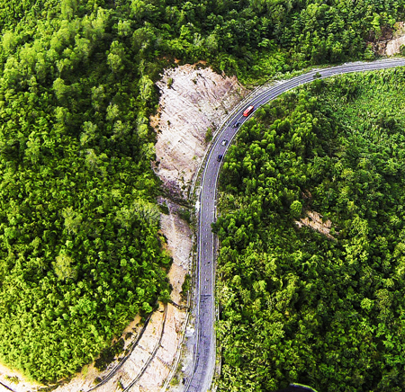 Bảo vệ rừng Khánh Lê - Lâm Đồng