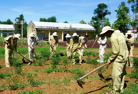 Các học viên tại Trung tâm Điều trị nghiện đa chức năng tham gia lao động