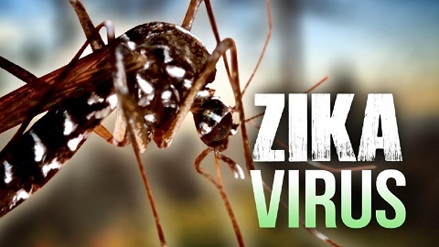Việt Nam chưa phát hiện trường hợp nào nhiễm vi rút Zika