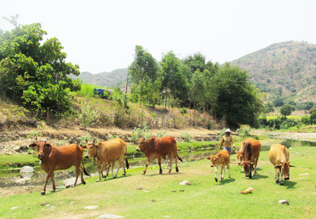 Đề nghị hỗ trợ hơn 4,5 tỷ đồng để chống hạn