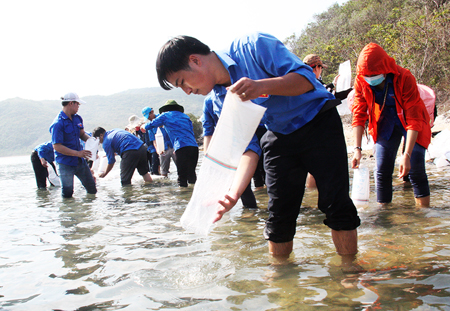 Thả giống, tái tạo nguồn lợi thủy sản tại đầm Nha Phu