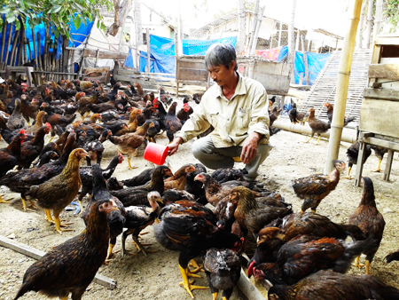 Xã Diên Lạc: Nông dân thi đua sản xuất kinh doanh giỏi