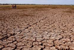 Khánh Hòa được hỗ trợ 17,7 tỷ đồng khắc phục hạn hán, xâm nhập mặn