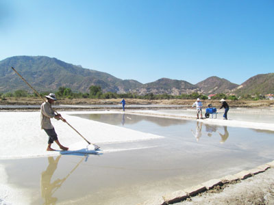 Khánh Hoà: Sản lượng muối đạt hơn 8.000 tấn