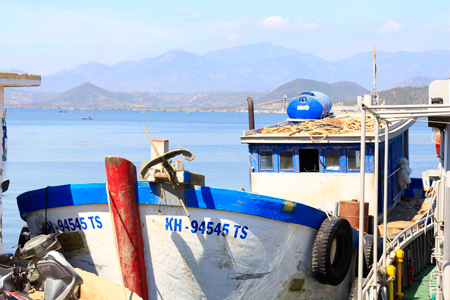 Tạm giữ hơn 15.000 lít dầu DO không rõ nguồn gốc