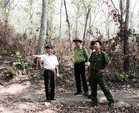 Ninh Hòa chủ động phòng, chống cháy rừng