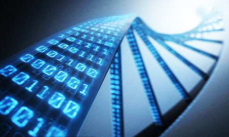 Lưu trữ hình ảnh kỹ thuật số trong ADN