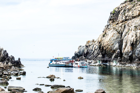 Đảo Yến Hòn Nội