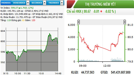 HNX-Index giảm nhẹ, VN-Index chạm mốc 600 điểm