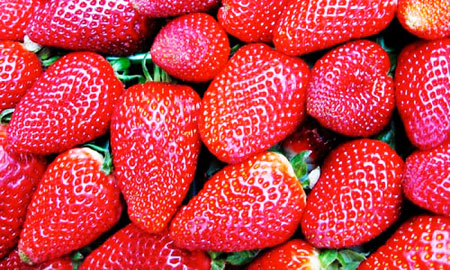 Công nghệ bọc lụa an toàn giúp trái cây tươi lâu hơn