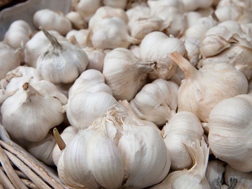 Các loại thực phẩm tốt nhất cho phổi