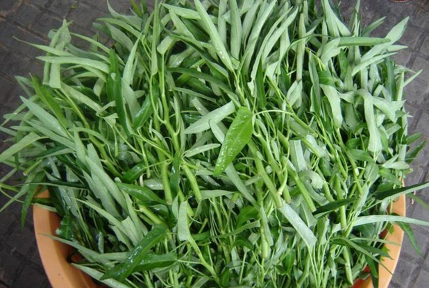 Những &quot;cấm kỵ&quot; khi ăn rau muống vào mùa hè