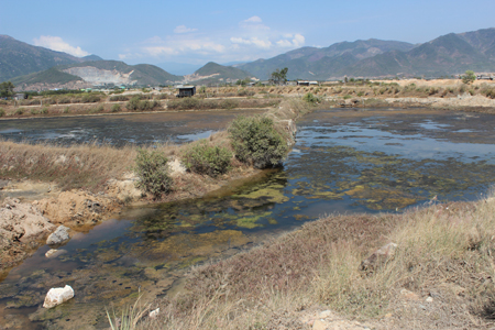 Phần đất mà gia đình ông Bổn khiếu kiện