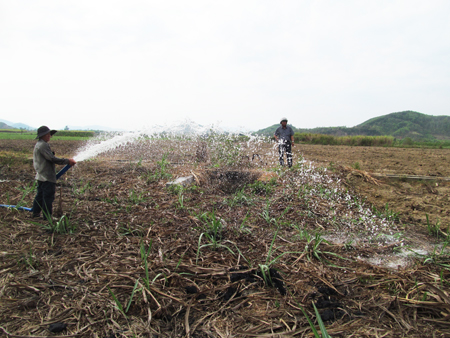 Nông dân xã Diên Đồng (huyện Diên Khánh) bơm nước chống hạn