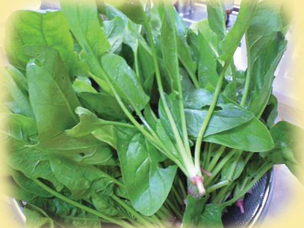 Top thực phẩm giúp bạn luôn có làn da đẹp như em bé