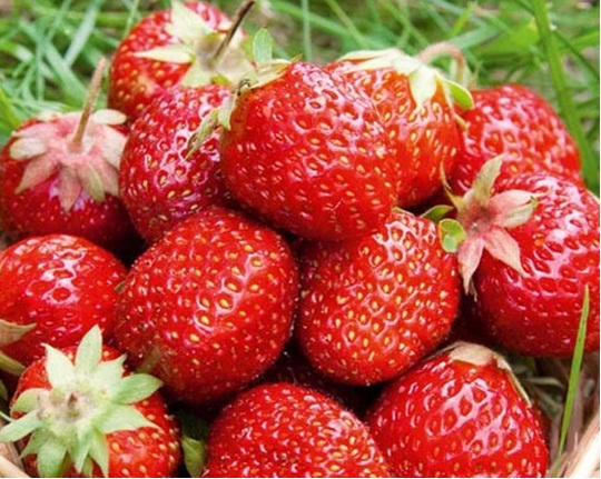 Thực phẩm chống nếp nhăn