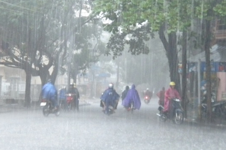 Mưa "vàng" giải nhiệt